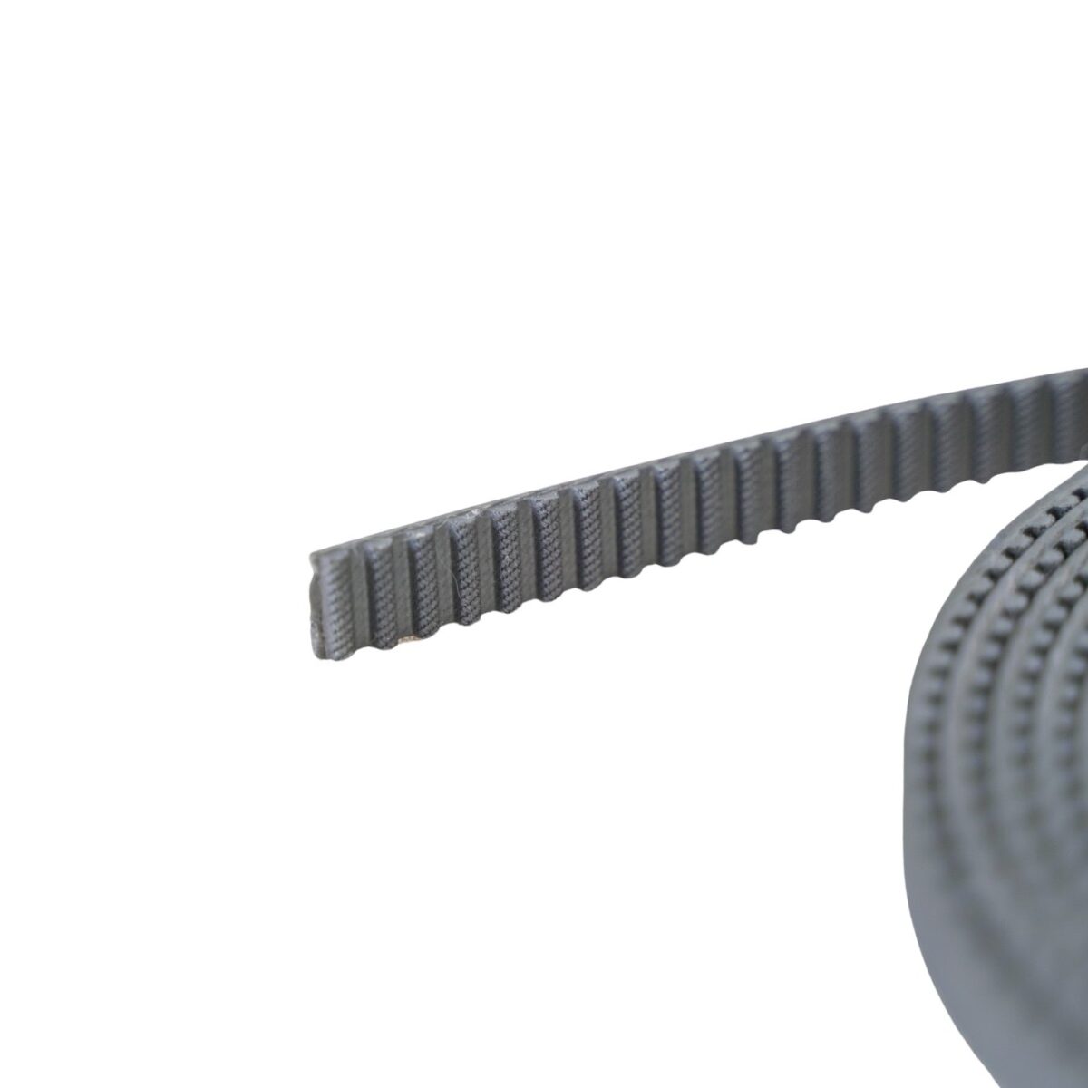 Europroget Confort Main Drive Belt